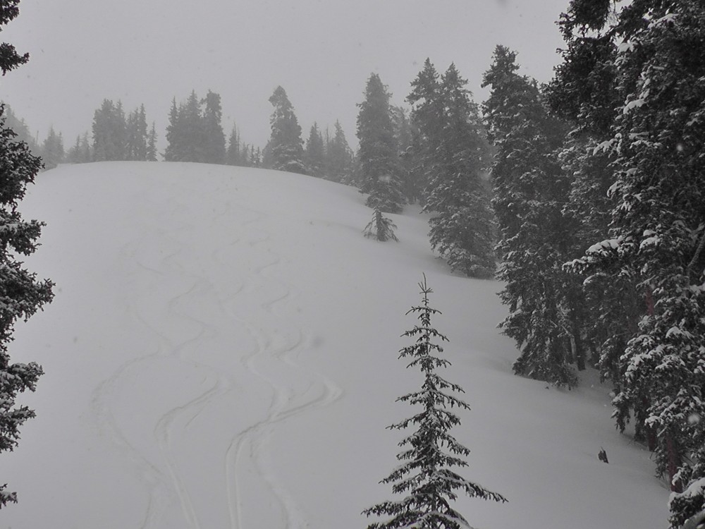 Utah Powder Returns