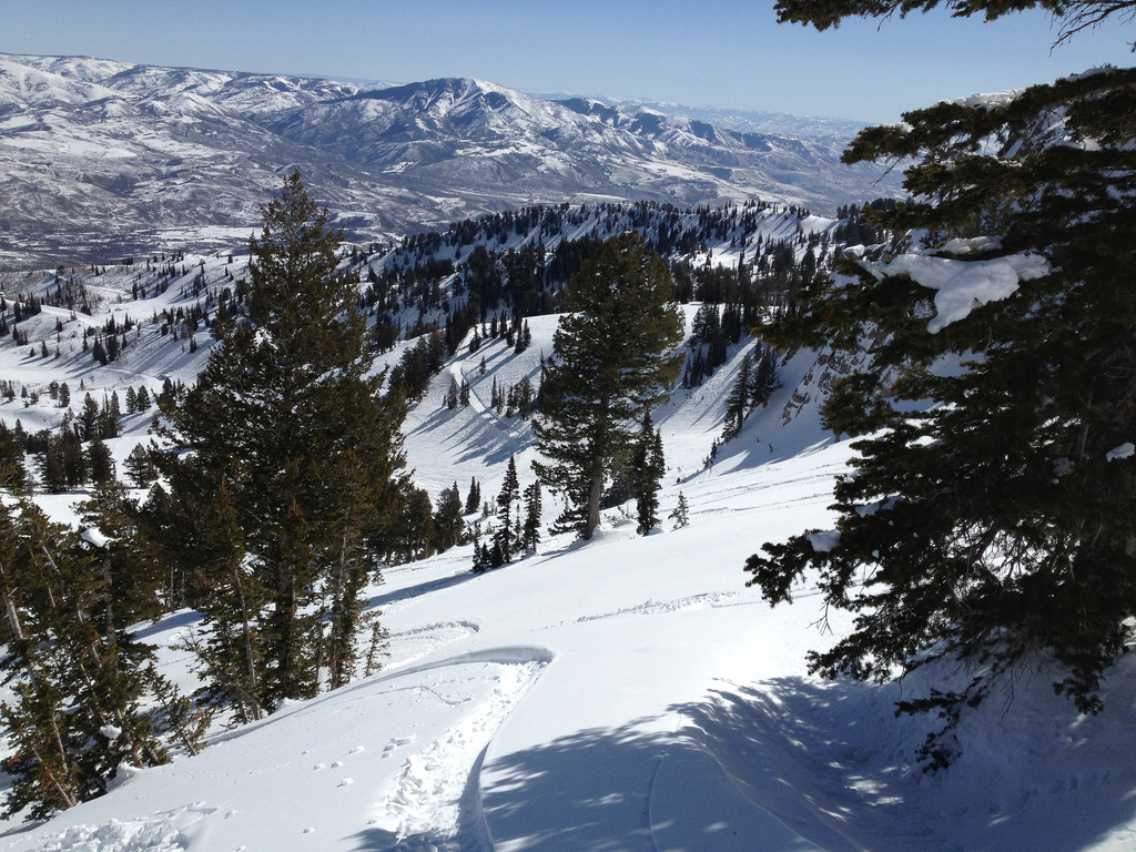 Utah Backcountry Powder