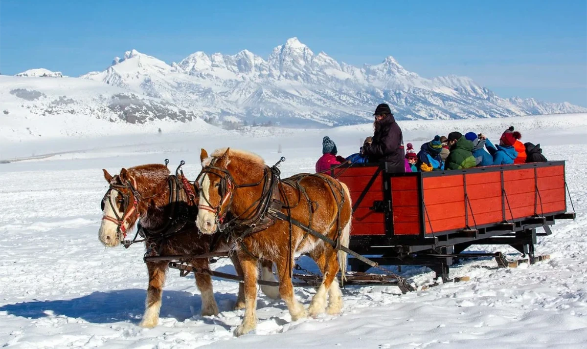 Jackson Hole Mountain Ski Resort Packages