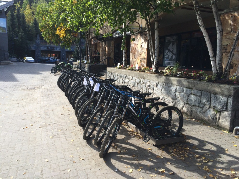 Mtn Bikes Abound in Whistler