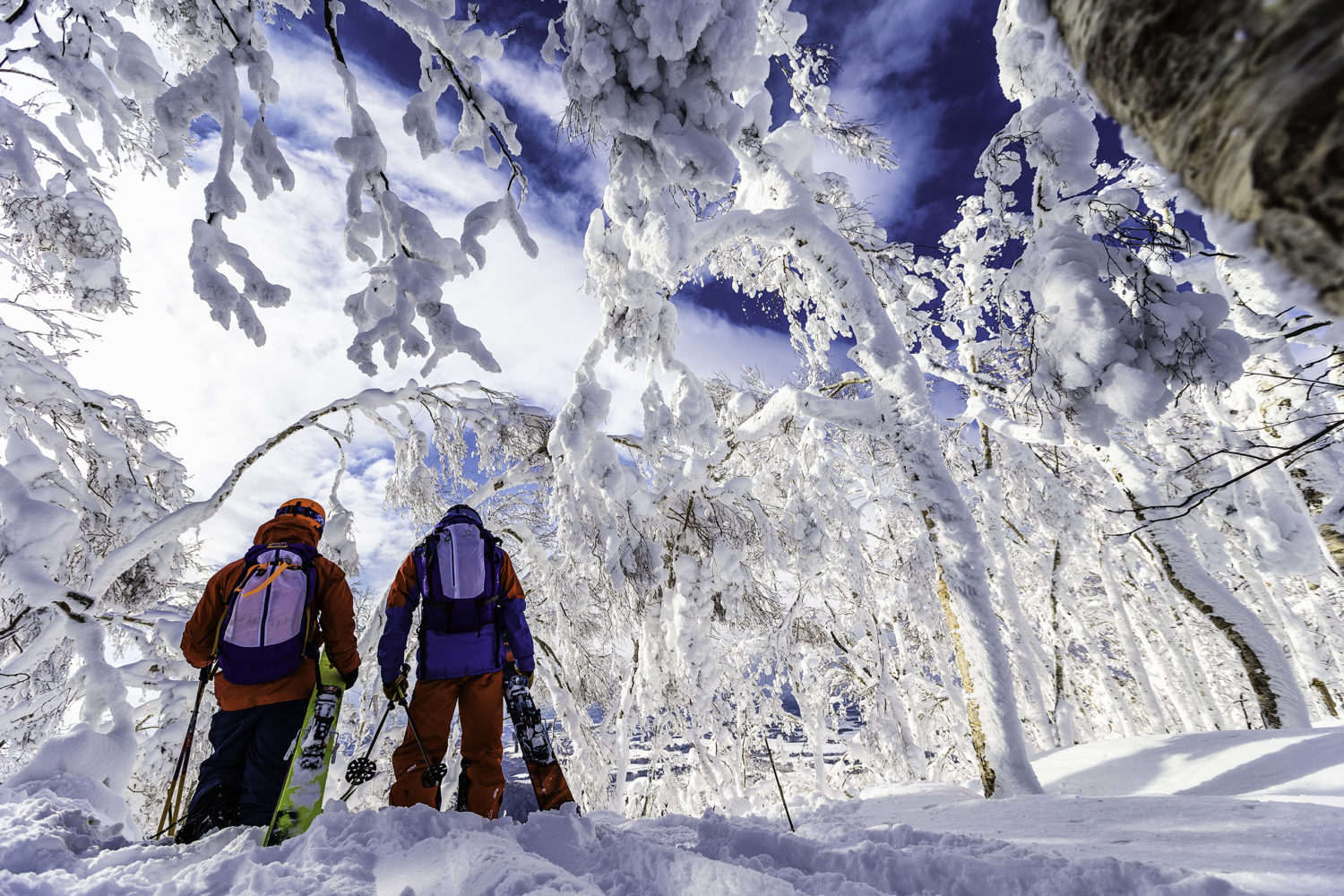 Japan skiing at Rusutsu