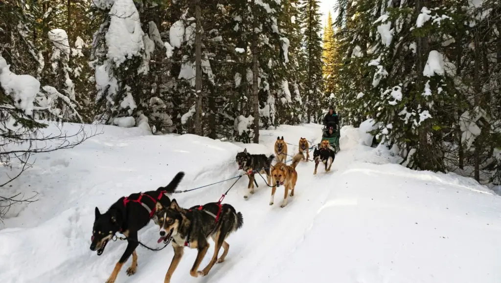 Sun Peaks Ski Resort Packages