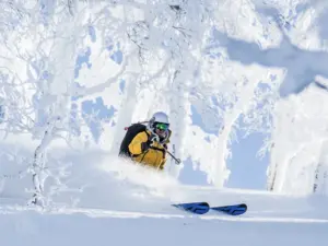 Niseko Ski Resort Packages